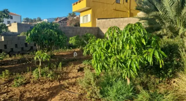 Casa en venta en Calle Fermín Torres Coello en Araya por 136,000 €