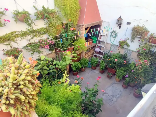 House in La Roda photo 21