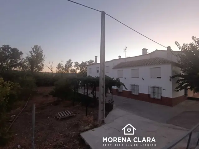Rustic finca in Cabra photo 6