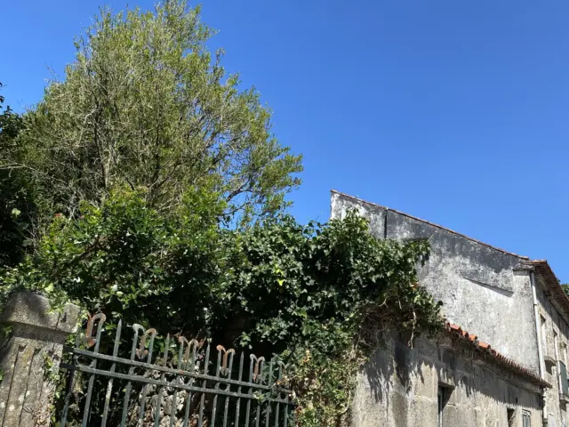 Casa en Avenida de Médico Ballina