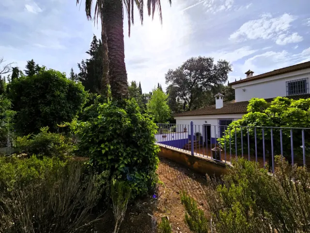 Rustic Finca in Salinas