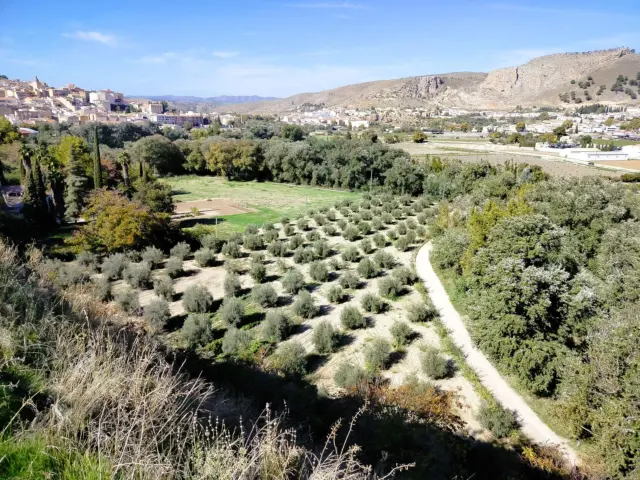 Finca rústica en Loja