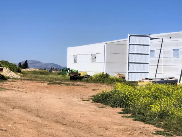 Rustic farm for sale in Moraleda de Zafayona