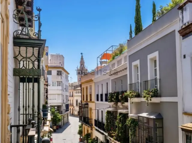 Apartment on Zaragoza Street