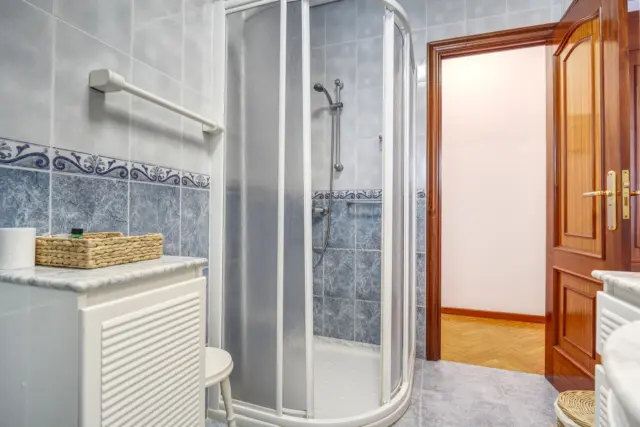 Apartment on Calle Rodrigo Alfredo de Santiago, No. 36 photo 16