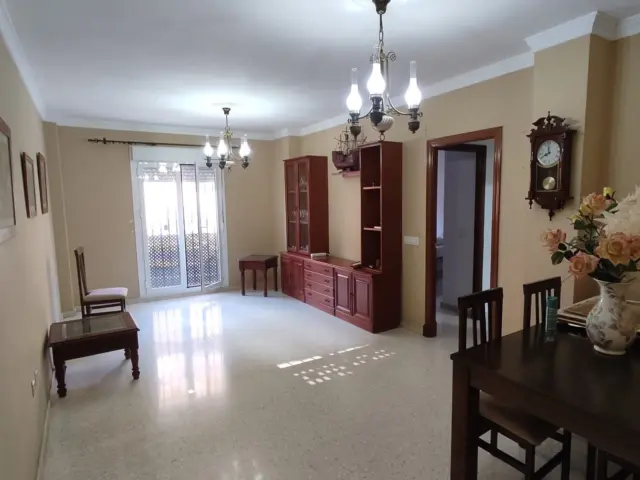 Apartment on Avenida de la Constitución, 1