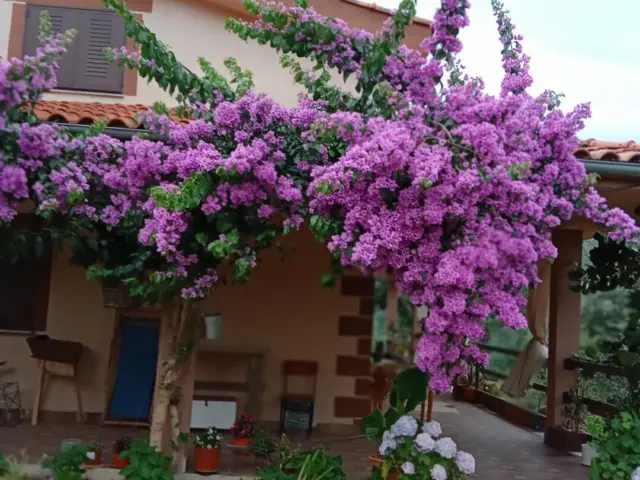 Chalet in El Torno