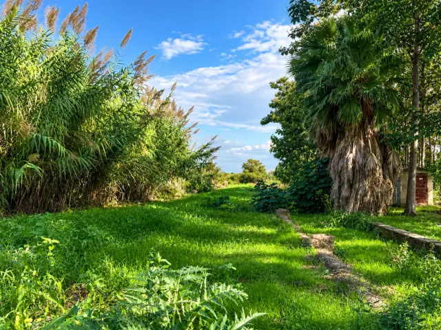 Rustic Finca in Montepego