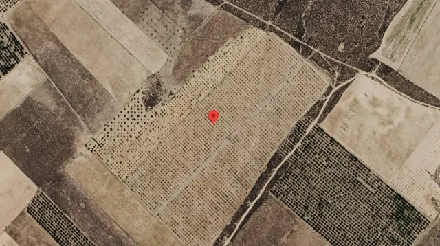 Rustic farm in Yecla