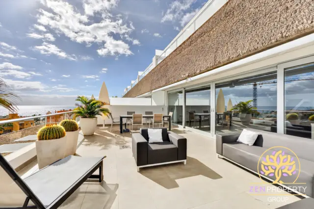 Duplex penthouse on Calle Playa Diego Hernández