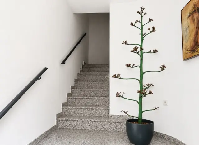Triplex in El Parador de las Hortichuelas
