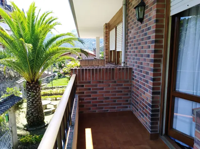 House in Limpias photo 22