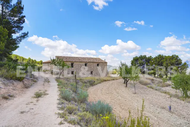 Finca rústica en calle Carretera Cv-780, Jijona, Alicante, Comunidad Vale, nº 1
