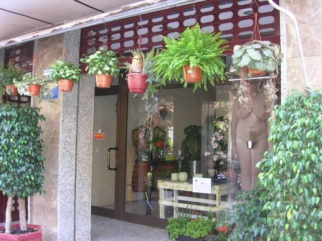 Commercial premises for sale in Zona Centro, Sant Joan d'Alacant of 412.000 €