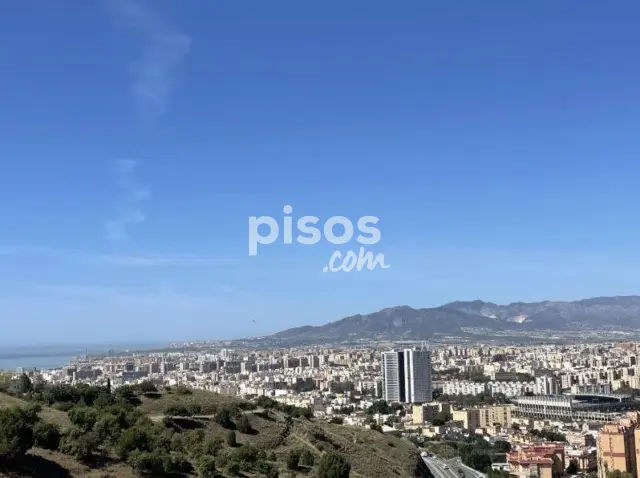 Terreno en venta en Calle del Clarinete, Mangas Verdes-Las Flores-Parque del Sur (Distrito Ciudad Jardín. Málaga Capital) de 209.000 €