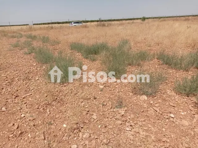 Terreno en venta en Pozuelo de Calatrava