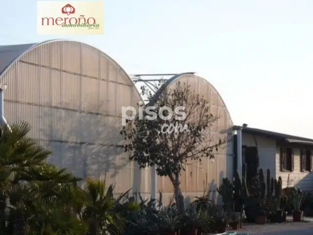 Terreno en alquiler en Maitino, Torrellano-Valverde-Parc Empresarial (Elx - Elche) de 2.000 €<span>/mes</span>