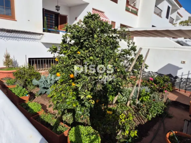 Casa pareada en venta en Calle Juan Jose Henriquez, Güímar de 410.000 €