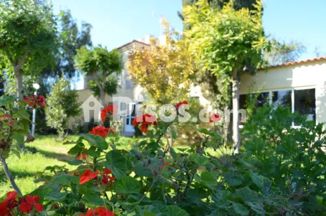 Finca rústica en venta en Avileses, Valladolises y Lo Jurado (Distrito Campo de Murcia. Murcia Capital) de 429.000 €