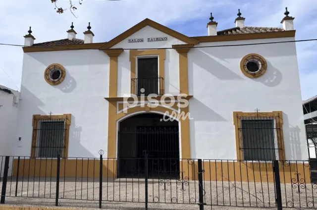 Nave industrial en venta en Alameda del Tren, Lora del Río de 215.000 €