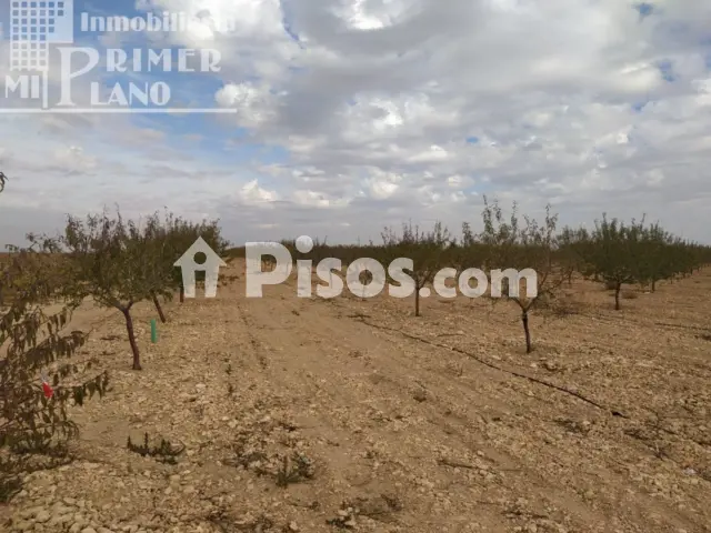 Terreno en venta en Ctra. Pedro Muñoz