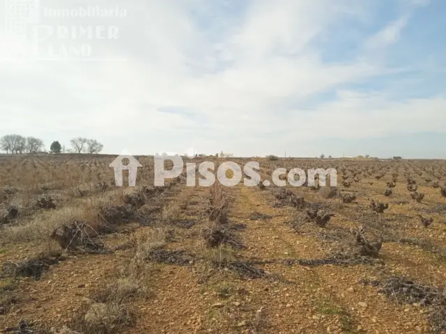 Terreno en venta en Calle Socuellamos