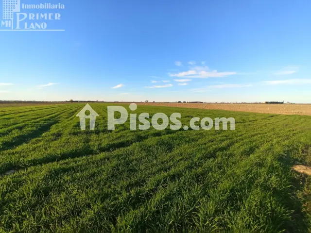 Terreno en venta en Castilla La Mancha