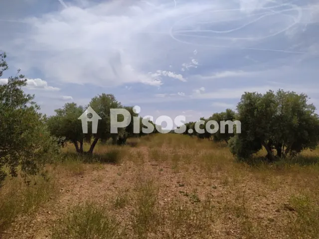 Finca rústica en venta en Centro
