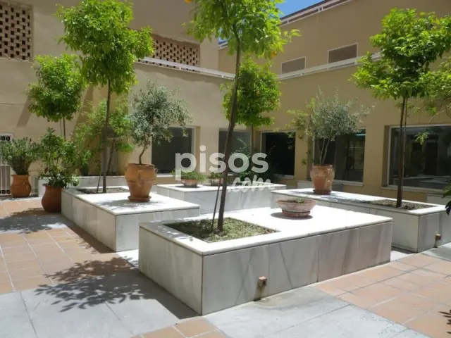 Piso en alquiler en Calle Don Emilio Durán Durán, 4, Pajaritos-Plaza de Toros (Distrito Beiro. Granada Capital) de 850 €<span>/mes</span>