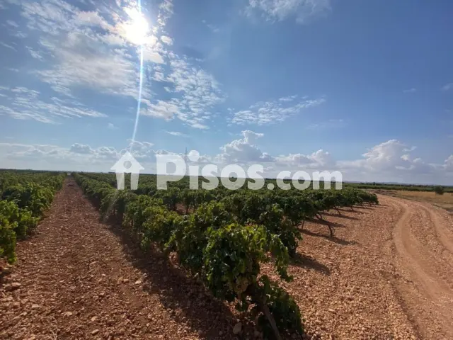 terreno en Torralba de Calatrava
