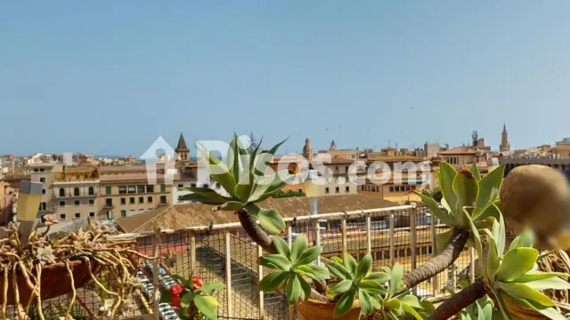 Ático en venta en La Missió, El Sindicat (Distrito Centre. Palma de Mallorca) de 995.000 €