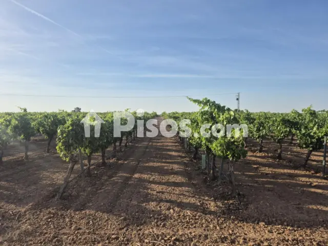 Terreno en venta en Calle Agricola