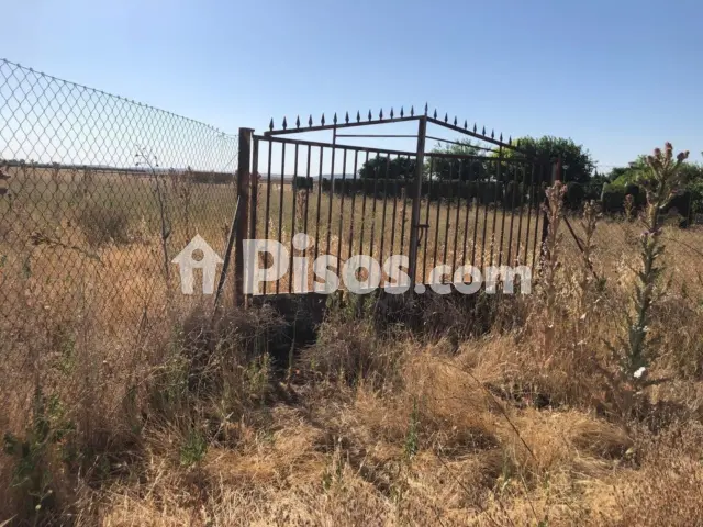 Terreno en venta en Carretera Pozuelo de Calatrava, Número 0