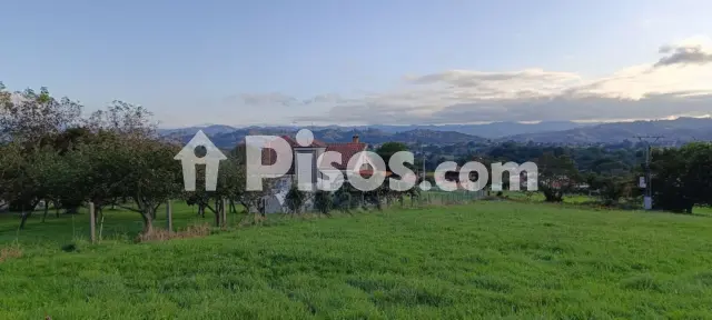 Finca rústica en venta en Calle Cs Otero, Número 0, Anes - Samartindianes-Samartino (Siero) de 84.000 €