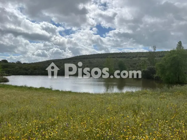Terreno en venta en Calle Chillon, Número 1098