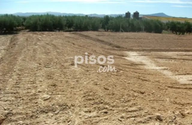 Terreno en alquiler en los Almagros - los Paganes - El Escobar, Fuente Álamo (Fuente Álamo de Murcia) de 1.700 €<span>/mes</span>