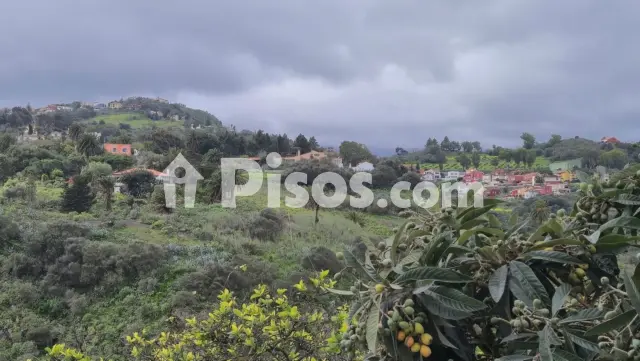 Chalet en venta en Camino Cuesta el Reventón, 13, cerca de Calle de la Montañeta de los Negros, Santa Brígida de 460.000 €