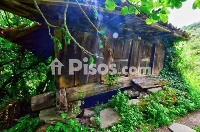 Finca rústica en venta en Calle Polígono 18, Santa Marina-Uxo (Mieres)