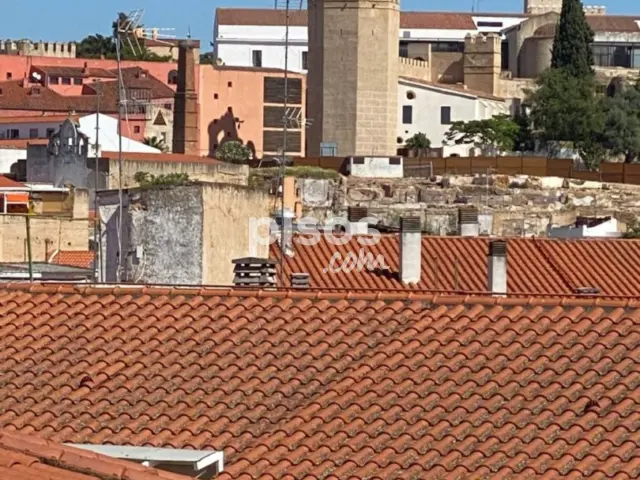 Apartamento en alquiler en Casco Antiguo, Centro Histórico (Badajoz Capital) de 650 €<span>/mes</span>