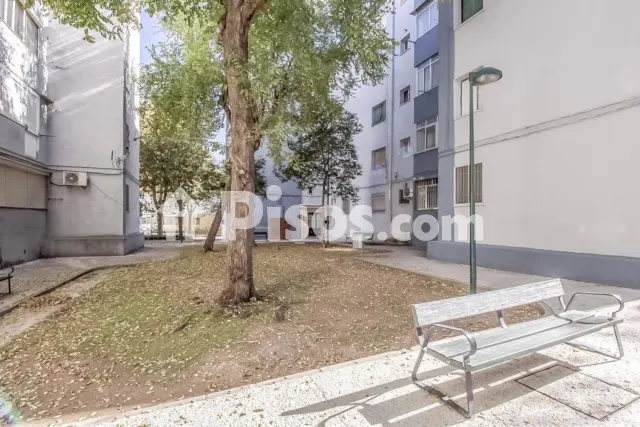 Piso en venta en Pau 2 - 600