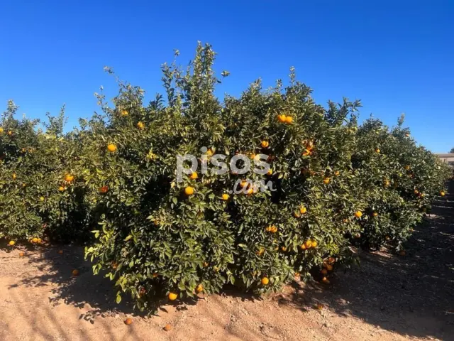 Finca rústica en venta en Lliria, Urbanitzacions-La Concòrdia (Llíria) de 200.000 €