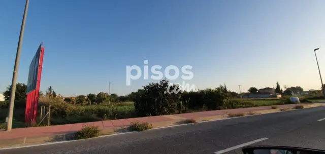Terreno en alquiler en La Albatalía, La Albatalía (Distrito Pedanías Oeste. Murcia Capital)