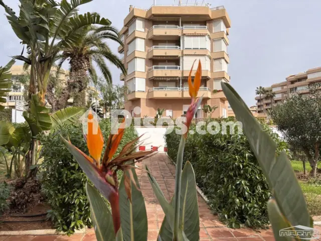 Estudio en alquiler en Urbanización Costa del Oro, Torrox de 700 €<span>/mes</span>