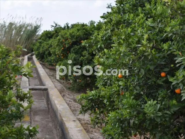 Finca rústica en venta en Carcaixent, Carcaixent de 87.000 €