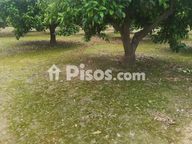 Finca rústica en venta en Calle Poligono 5, El Respirall-Santa Maria de Bonaire-El Racó (Alzira) de 33.999 €