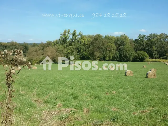 Terreno en venta en Plaza Argüelles, número SN, Granda-Tiñana-Hevia (Siero) de 110.000 €