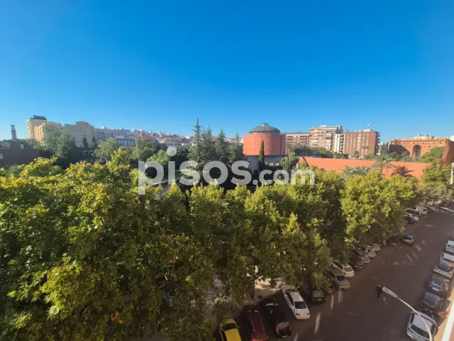 Piso en alquiler en Calle del Museo, Pardaleras (Badajoz Capital) de 725 €<span>/mes</span>