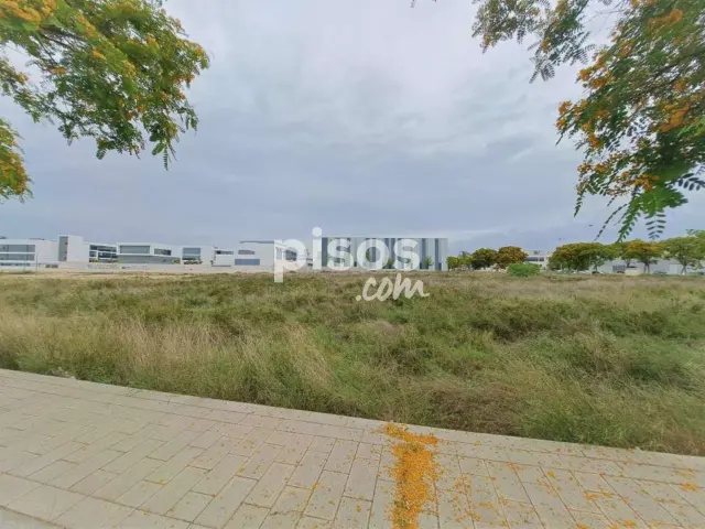 Terreno en venta en Calle de Galileo Galilei, Torrellano-Valverde-Parc Empresarial (Elx - Elche) de 1.573.100 €