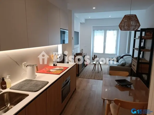 Piso en alquiler en Calle de Euskal Herria, Parte Vieja-Alde Zaharra (San Sebastián - Donostia) de 1.500 €<span>/mes</span>