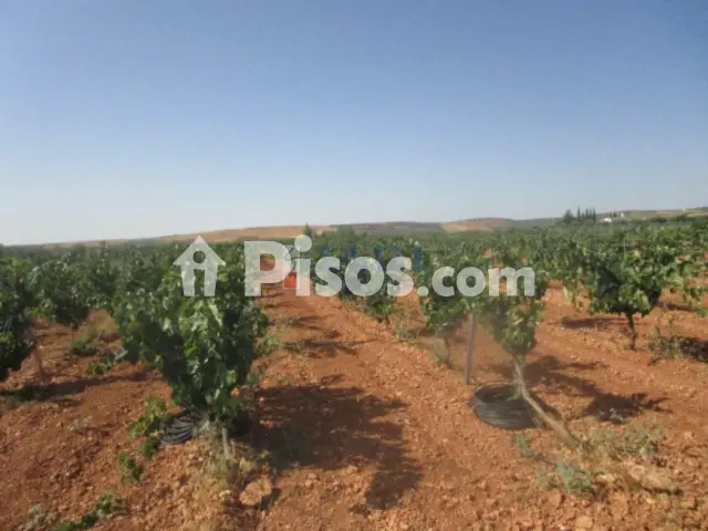 Finca rústica en venta en Campo